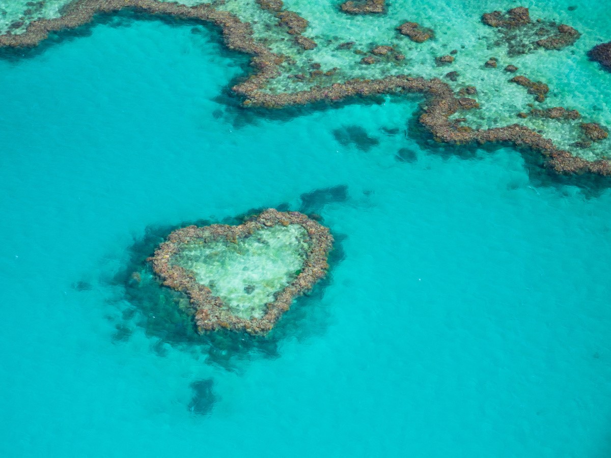 世界最大の美しい珊瑚礁が広がる「グレート・バリア・リーフ」